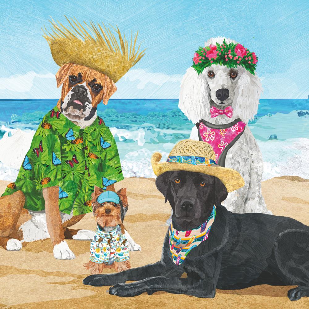 Dogs wearing colourful clothes and hats at the beach on a sunny day