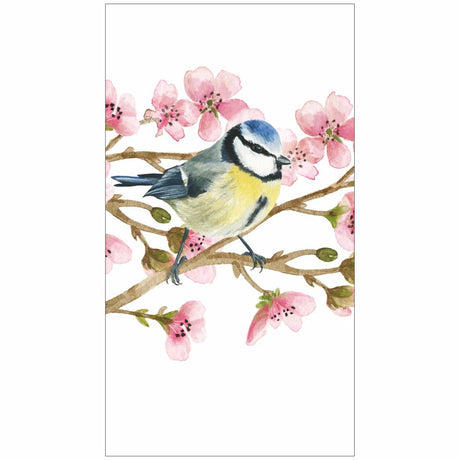 Eurasian bluetit on cherry blossom spray