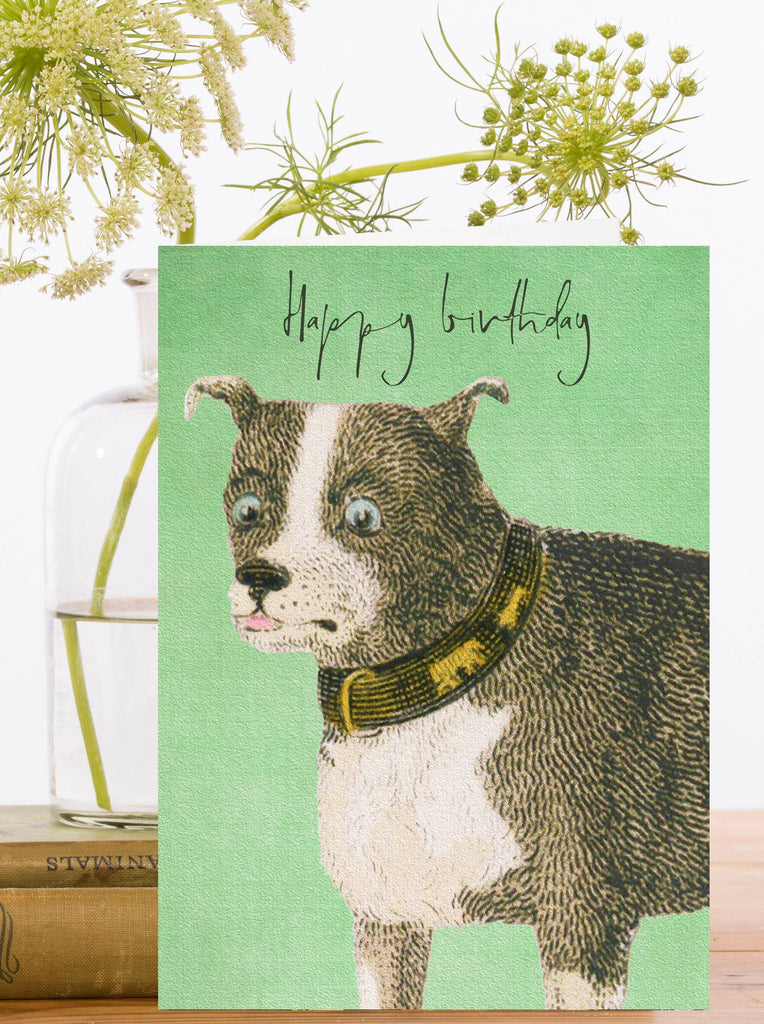 Greeting card with a vintage style illustration of a dog with its tongue sticking out and 'Happy birthday' text on a green background.
