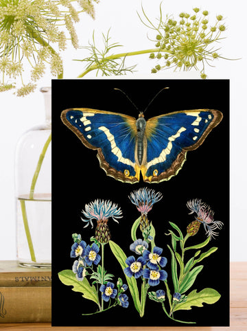 Greeting card with illustration of a butterfly and flowers on a black background