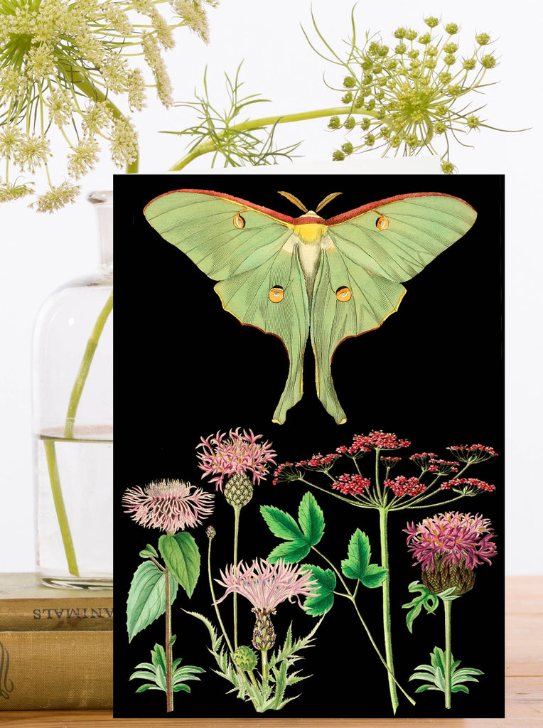 Greeting card with illustration of a green butterfly and flowers on a black background