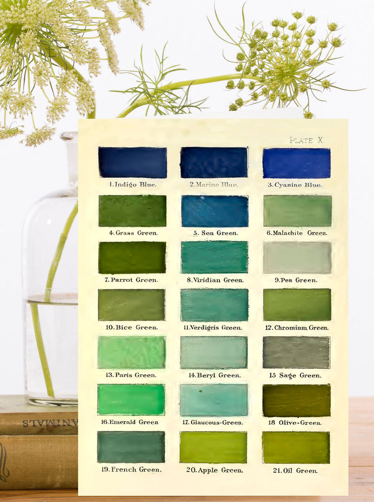 Color swatch greeting card with green and blue hues on a wooden surface with plants in the background