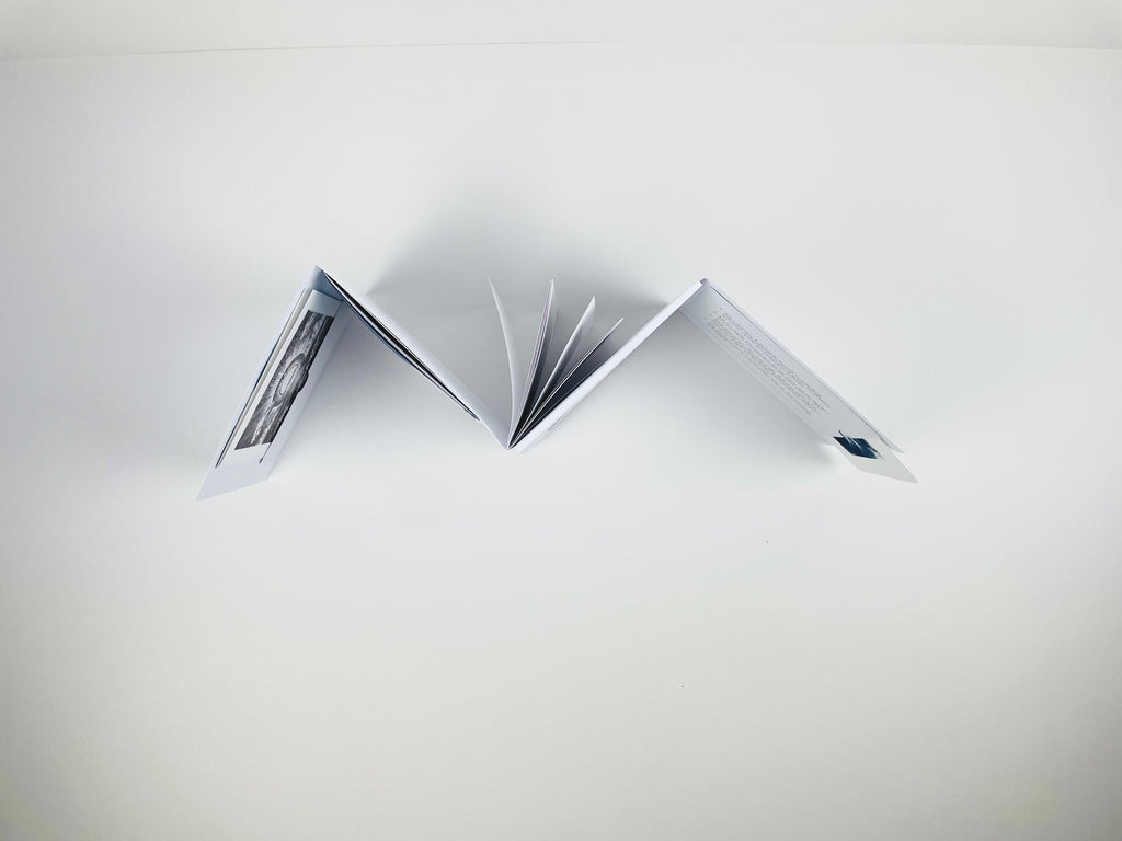 Open book with pages fanned out on a white background