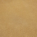 SDH Jazz Parchment Swatch