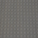 Dove 