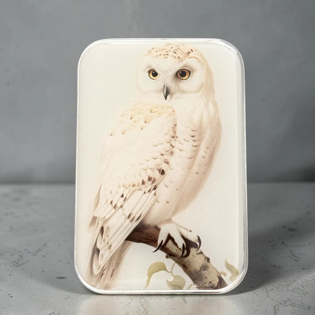 Metal Tin with white Owl illustration 