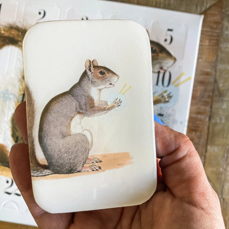 Metal Tin in natural colour with Squirrel print 