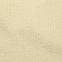 Sample in Ecru colour