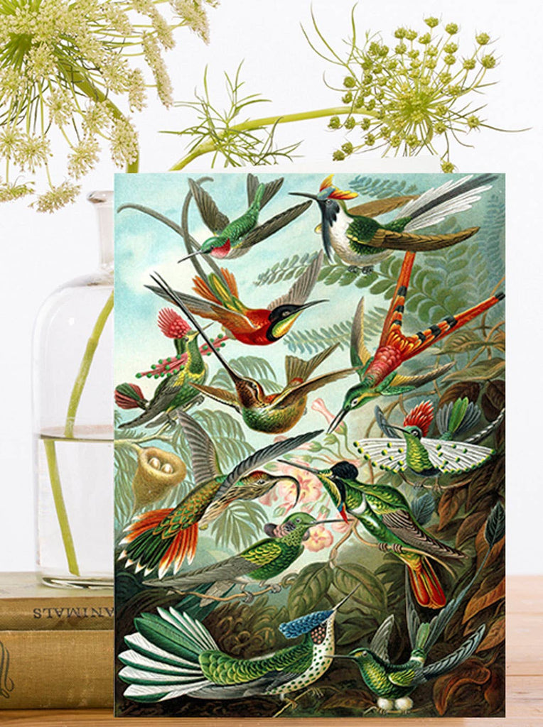 Illustration of various hummingbirds on a card with flowers and books in the background
