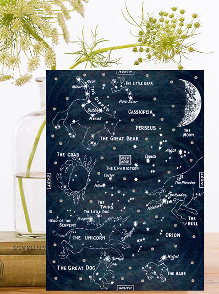Star map card with constellations on a wooden surface with plants in the background
