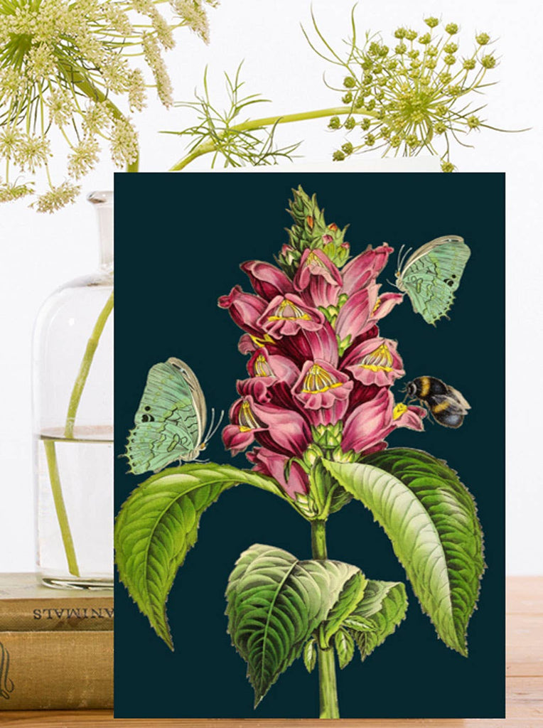 Greeting card with illustration of pink flowers with green leaves and butterflies on a dark background