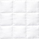 Masaccio White Swatch
