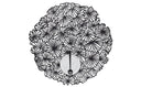 Daisy Round Placemats - Black