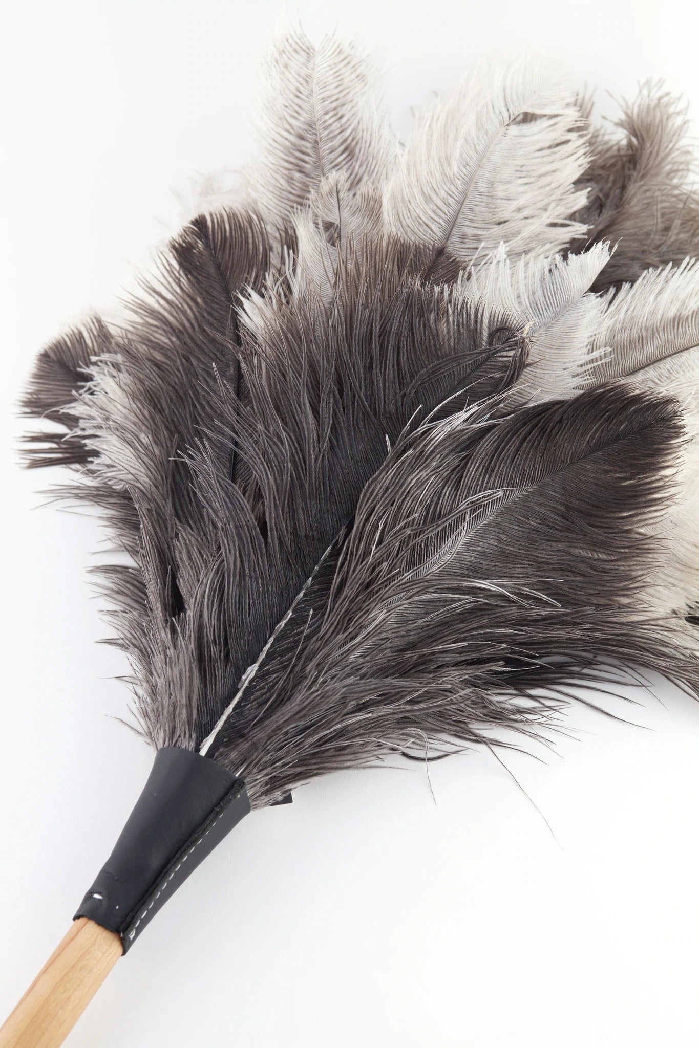 Ostrich feather duster