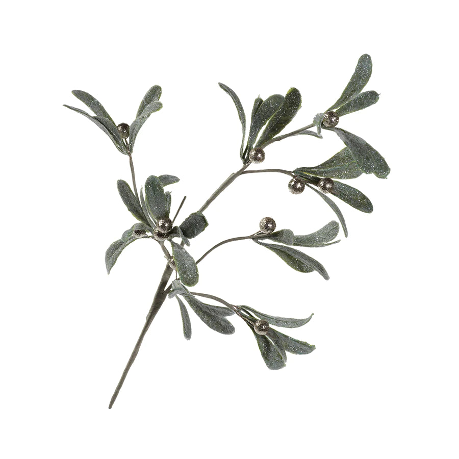 Olive and Berry Pick - Short