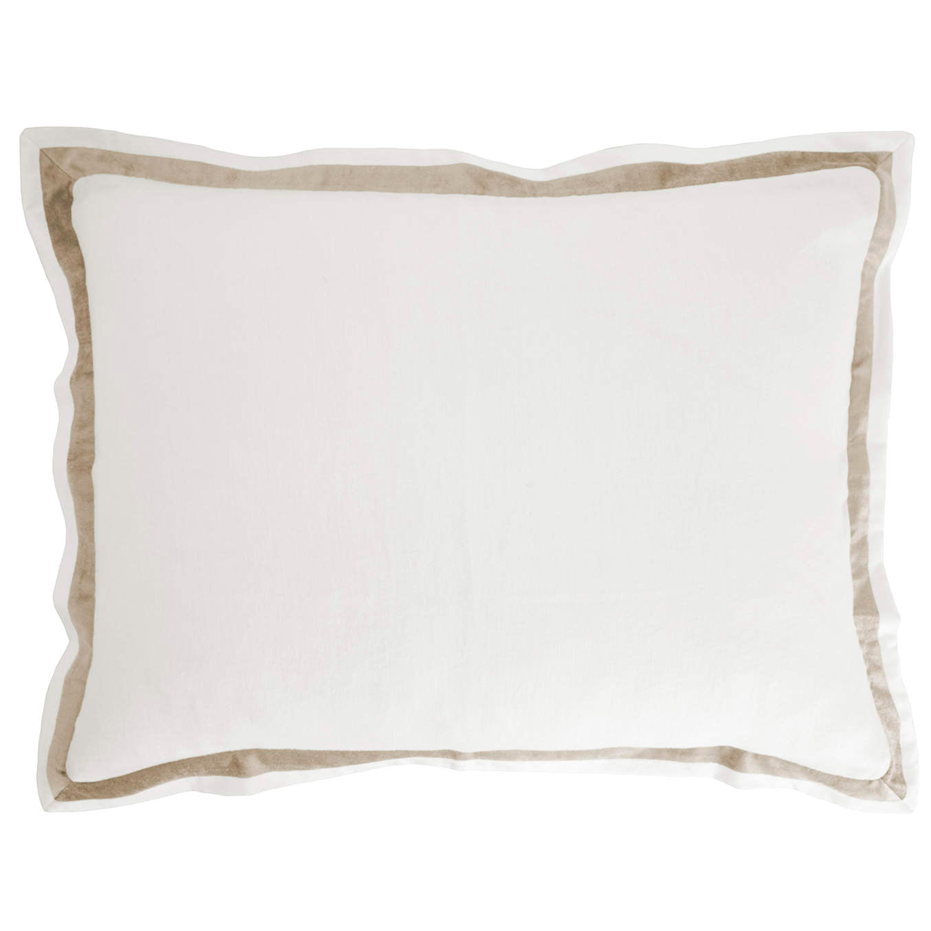 Biscotti King Sham