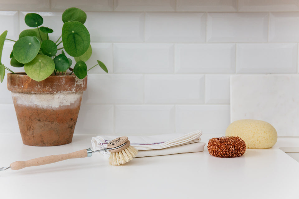 Kitchen kit for dishwashing