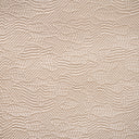 Zora Champagne Swatch
